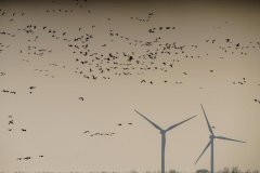 <b>澎湃新闻仅提供信息发布平台</b>