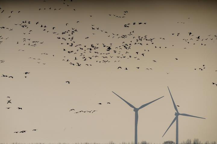 澎湃新闻仅提供信息发布平台