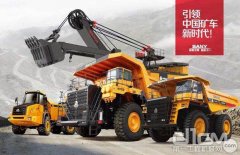 某企业通过收购海外矿山