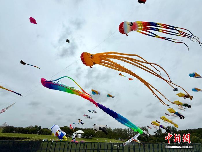 2025武汉木兰风筝世界杯首秀 全球顶尖选手共绘空